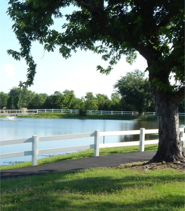 lake with nice scenery